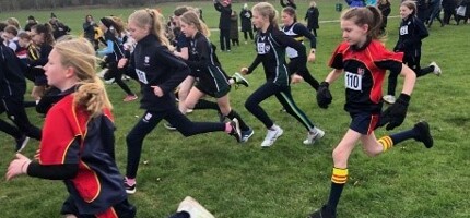 Cross Country Success 2024