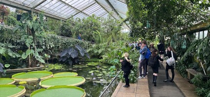 Year 7 Art Trip to Kew Gardens