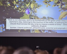 The Downs School Newbury  17