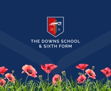 Armistice Day 2025 TDS