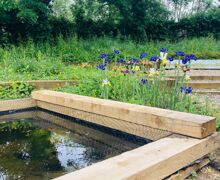 Therapeutic Garden The Downs School 2025 2