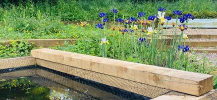 Wellbeing & Therapeutic Garden