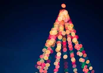 End of term report Year 7 - Mrs Meijboom