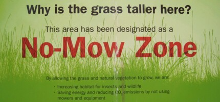Eco Committee - No Mow Zones